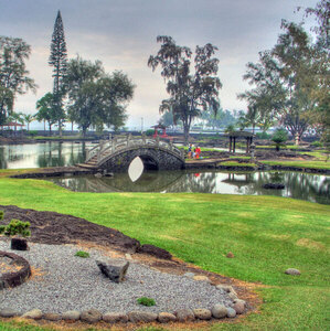 Fundraising Page: BAND AIDS